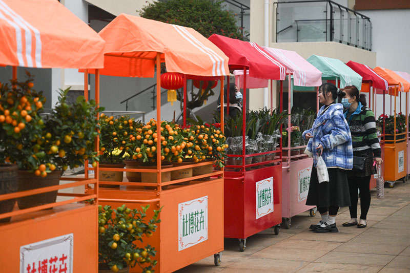 海南热带花卉交易（拍卖）市场开业运营