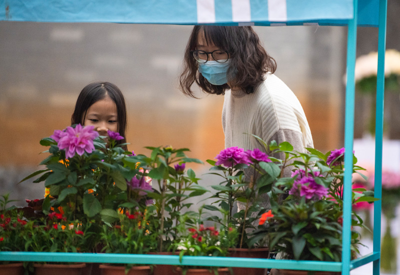 海南热带花卉交易（拍卖）市场开业运营