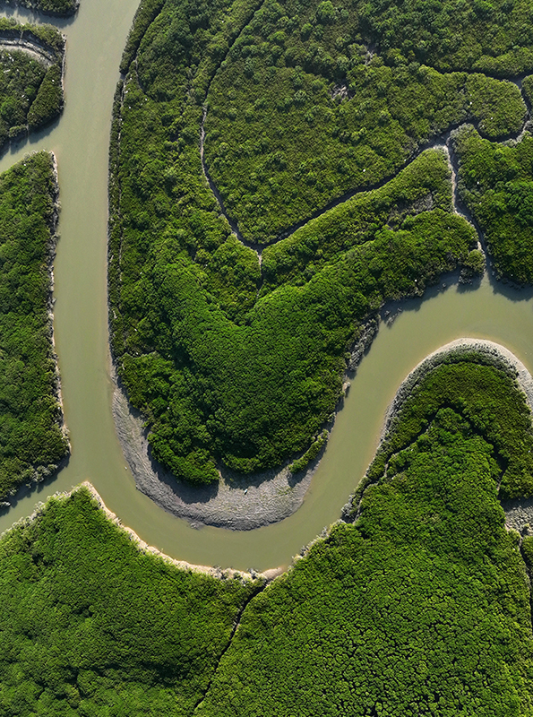 福建：感受湿地之美