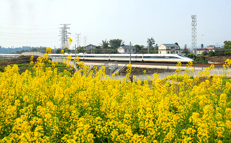 花香伴列车