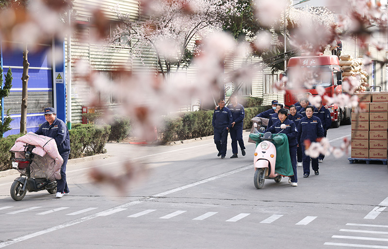 山东临沂：“家门口”就业促增效助增收