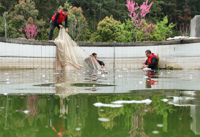 湖南衡山：泉水鱼养殖带动村民增收