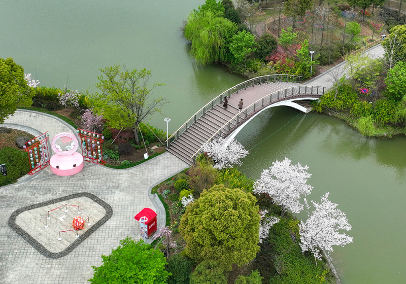 浙江宁波：植物园春花烂漫