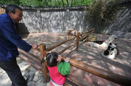 扬州动物幼儿园开园迎客_中华人民共和国中
