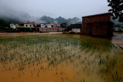 暴雨导致广东清远市多地洪涝灾害严重_图片_