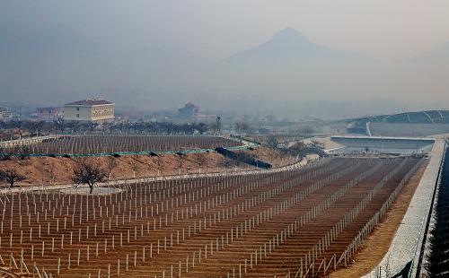 河北昌黎打造中国葡萄酒城