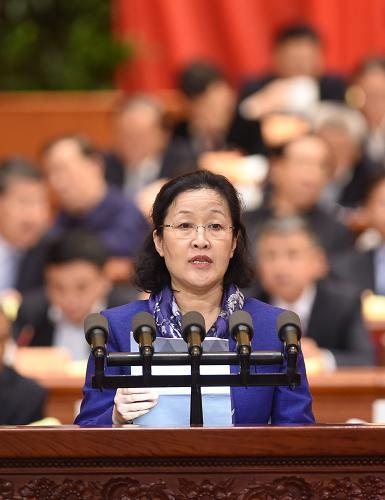 全国政协十二届三次会议第二次全体会议大会发言