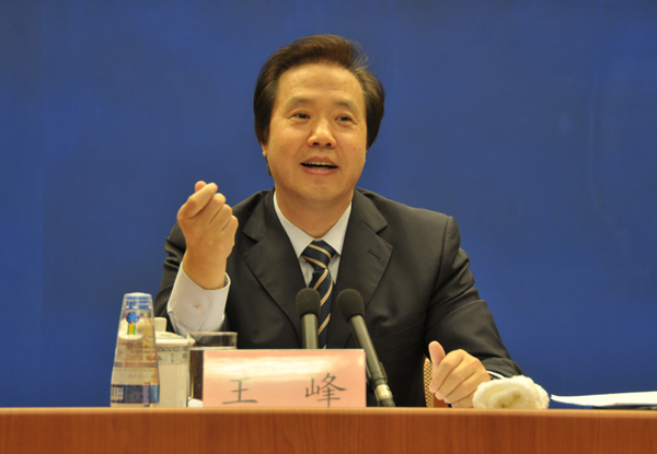 国务院审改办负责人王峰