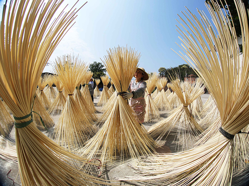 貴州赤水：竹產業助力鄉村振興