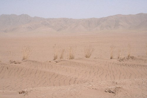 沙漠化侵袭若尔盖草原