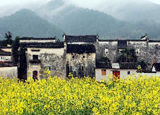 稍等…myqnw.com