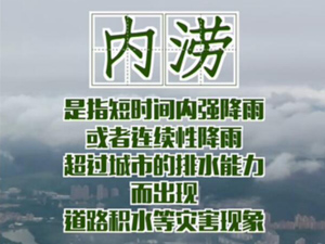 278.1.jpg