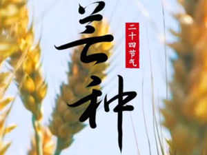 芒种.jpg-300.jpg