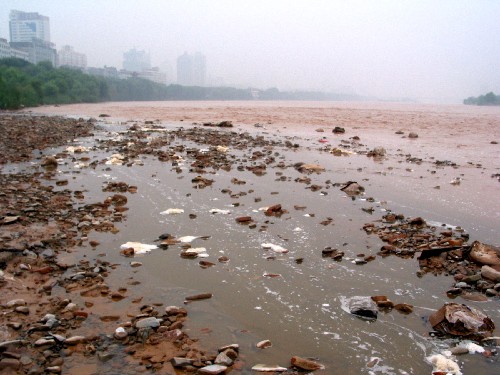 黄河兰州段发生严重黑白污染