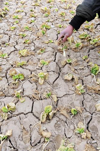 不栈幢钡厍购当Ｃ