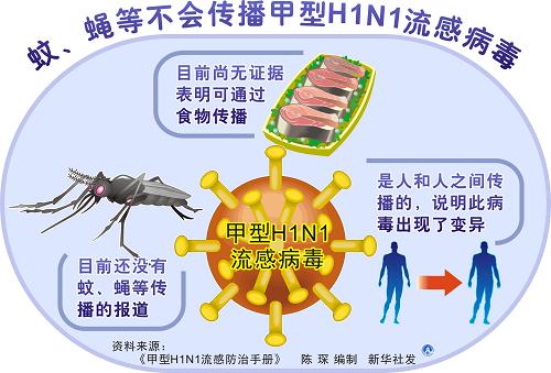图表:蚊,蝇等不会传播甲型h1n1流感病毒