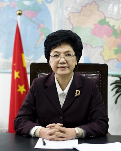 人口计生委主任谈"十二五"如何全面做好人口工作