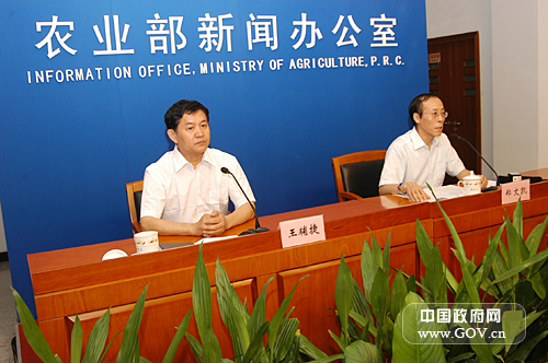 发布会主席台