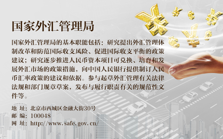 中国外汇管理局 英文 个人 境外 汇款
