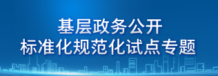 基层政务公开标准化规范化试点专题