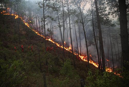 四川西昌发生森林火灾