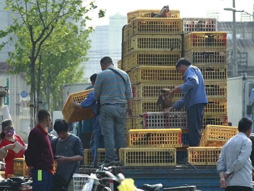 5月1日,商贩在上海三官堂禽蛋市场外进行活禽交易新华社记者 丁汀 摄