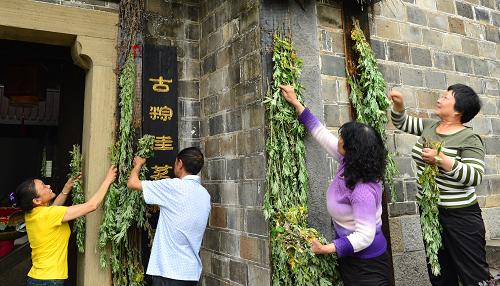 门口挂艾草有什么作用_艾草怎么挂门口才正确的图片_门口挂艾草正挂还是倒挂