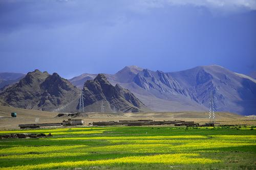 日喀则:农作物长势良好 丰收在望