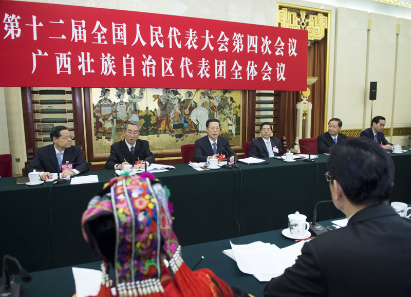 3月7日，中共中央政治局常委、国务院副总理张高丽参加十二届全国人大四次会议广西代表团的审议。新华社记者 王晔 摄