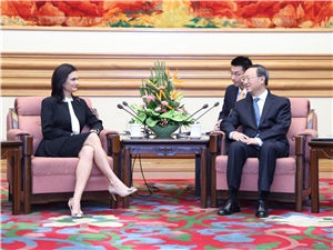 杨洁篪300.jpg