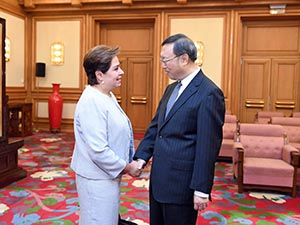杨洁篪-300.jpg