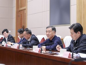 300汪洋主持召开打击侵权假冒.jpg