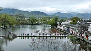 300 x 170.jpg