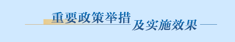 重要政策举措及实施效果