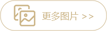 tpvideo_2024lh_mobile_ttp.png