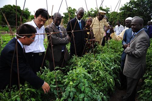 塞内加尔首都达喀尔中国人 0011431a94e60e6c22e302.jpg