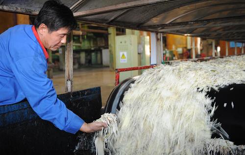 甜菜制糖_甜菜制糖工艺