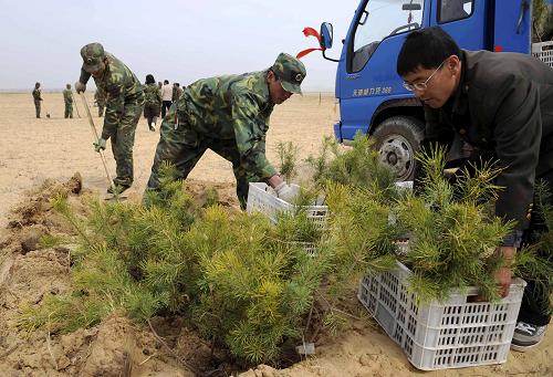 造林队员在京津周边沙源治理工程项目区——内蒙古克什克腾旗生态建设项目区内栽植松树苗(2009年5月摄)。自2000年国家启动京津风沙源治理工程以来,内蒙古自治区累计投入生态建设资金170多亿元,生态治理总面积超过2.7亿亩。全区十多万林业职工、造林队员和志愿者扎根大漠,造林治沙,用辛勤汗水浇灌北疆“绿色长城”。同时,林业生态管理部门着力实施退耕还林、退牧还草、季节性休牧等措施,草原生态环境得到明显改善。截至2009年初,内蒙古自治区森林总面积居全国第一位,森林覆盖率达到17.5%,成为祖国北疆最重要的生态屏障。新华社记者 张领 摄