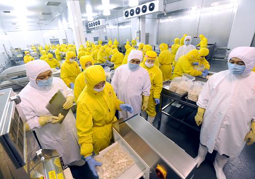 河南对出口禽肉生产进行全过程质量监督 9月22日,河南出入境检验检疫局的检验检疫人员在河南永达食业集团肉鸡加工生产线进行产品质量检查。出口禽肉是河南省食品农产品出口项目中的大宗商品,河南出入境检验检疫局对出口禽肉企业实行检验检疫人员长期派驻到厂,并对生产、加工全过程同步进行质量跟踪服务和监督检查,确保出口禽肉的质量安全。 新华社记者 赵鹏 摄