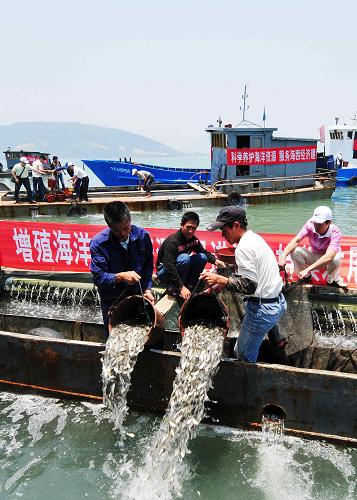 福建增殖放流300万尾子一代大黄鱼 图为大黄鱼增殖放流活动现场(6月6日摄)。 当日,农业部与福建省政府联合在宁德三都湾海域开展大黄鱼增殖放流活动,300万尾子一代大黄鱼放流三都澳。近年来,福建省共投入资金3970多万元,增殖放流鱼、虾、贝等苗种14.5亿尾,通过连续多年的增殖放流,渔业资源明显恢复,取得了显著的生态、经济和社会效益。 新华社记者 魏培全 摄