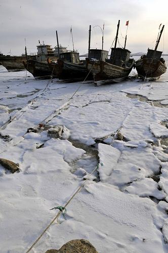 1月12日拍摄的莱州湾海庙口村附近海域结冰的水面。