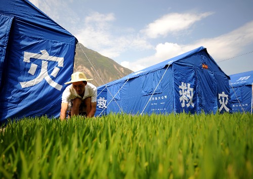 6月9日,文县城关镇元茨头村村民在临时帐篷旁的田地里育苗。在地震中受灾严重的甘肃省陇南市文县积极组织群众进行生产自救,目前已完成夏播两万多亩。新华社记者 聂建江 摄