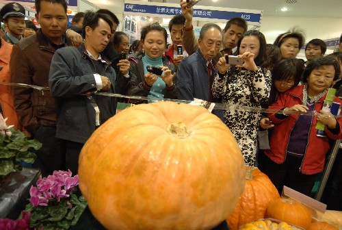 11月5日,参观者在杨凌农高会上观看甘肃天水一家企业选育的、重达96公斤的太空南瓜。当日,第十五届中国杨凌农业高新科技成果博览会在“农科城”陕西杨凌开幕,共有5700多个农业科技项目在展会上亮相。来自27个国家和地区及国内26个省区市的900多家企业参展参会。 据介绍,自1994年起,杨凌农高会已连续成功举办了14届,年均参会人数达到130万人次,经济效益累计达1400多亿元。新华社记者 陈钢 摄