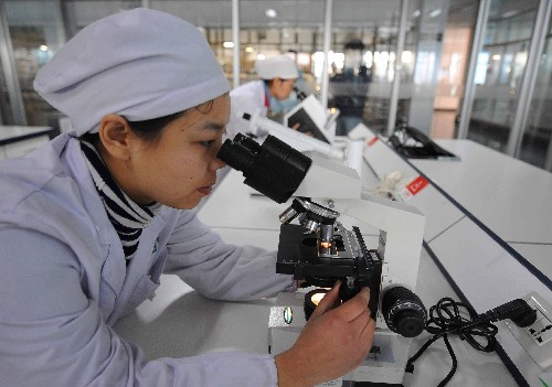 位于北京通州的蒙牛乳业集团北京生产基地的技术人员在检测一份牛奶样本中的体细胞数以及微生物含量(2008年12月29日摄)。新华社记者 罗晓光 摄