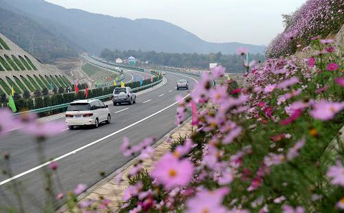 10月26日,汽车行驶在沪陕高速公路商洛段。该路段解决了多年来石质边坡绿化和工程、生物防护相结合的难题,让石质边坡遍布绿草鲜花。 新华社记者 陶明 摄
