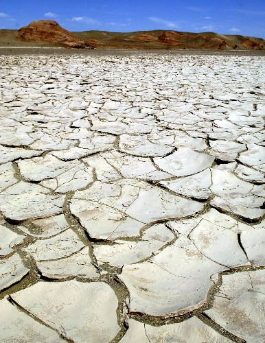内蒙古阿拉善遭遇罕见旱灾
