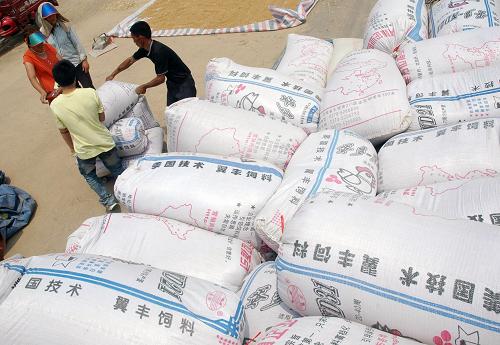 6月13日,在河南省淮阳县白楼镇曹庄村,农民经纪人到农民家门口收购夏粮。随着河南周口麦收的全面开展,大批农民经纪人开展上门收购夏粮服务,让农民足不出户就可以出售夏粮。新华社发(杨正华 摄)