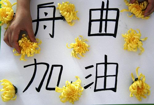 8月14日,山东郯城县新爱婴幼儿园的一名老师为舟曲遇难同胞献上黄菊,寄托哀思。新华社发(张春雷 摄)