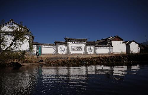 村子里典型的大理白族式建筑,雕梁画栋美不胜收(2月3日摄)。云南大理白族自治州的洱海是闻名遐迩的旅游胜地,而位于洱海源头一处如人间仙境般的碧池却“藏在深闺人未识”,这就是高原水乡——洱源西湖。2009年12月,洱源西湖湿地公园正式评为国家湿地公园,成为云南省第二个国家湿地公园。 坐落于洱源县佛钟山麓、苍山云弄峰下的水乡西湖是高原断陷湖泊,属澜沧江水系,地处洱海源头,是大理及周边地区生态安全的重要保障。西湖生态系统多样性极为独特,形成面山森林(灌丛)— 村庄— 农田— 湖滨沼泽— 湖泊水面— 岛屿村庄的自然生态系统与人工生态系统交叉重叠的多样性特征。湿地保存有洱海大头鲤、灰裂腹鱼、大理裂腹鱼等特有鱼类,是许多越冬鸟类的栖息地,也是极具观赏价值的珍稀鸟类紫水鸡在我国最大种群分布地。 西湖在云南高原湿地中景观独特,白族风俗浓郁,历史文化积淀深厚,是展示湿地保护成效和湿地生态环境教育的理想基地。水域面积约4.3平方公里,平均水深1.8米、最深处近10米。湖水四季清澄如镜,湖中菱荷青青,芦苇摇曳;六个村庄、七个岛屿散落水中,构成村中有湖、湖中有村的田园风景。荡舟湖上,