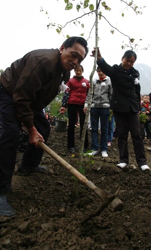 11月12日,地震幸存者在青川东河口地震遗址公园植树悼念遇难者。